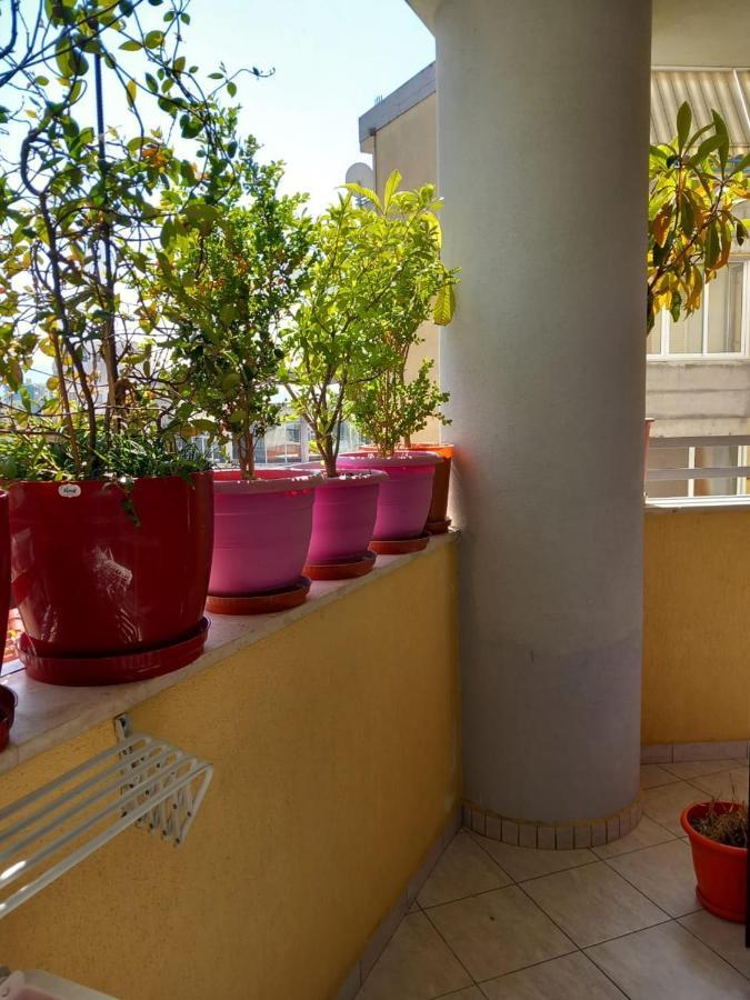 Holiday Center Apartment Shkodër エクステリア 写真